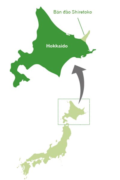 shiretoko shiretoko